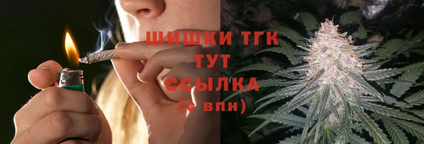ГАЛЛЮЦИНОГЕННЫЕ ГРИБЫ Сатка