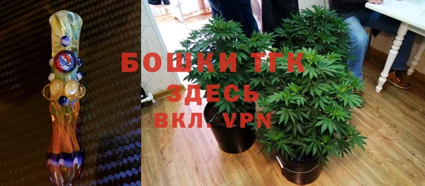 ГАЛЛЮЦИНОГЕННЫЕ ГРИБЫ Сатка