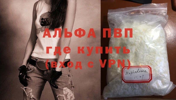 ГАЛЛЮЦИНОГЕННЫЕ ГРИБЫ Сатка
