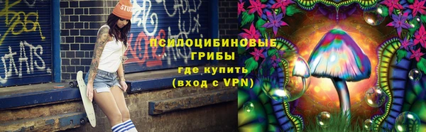 ГАЛЛЮЦИНОГЕННЫЕ ГРИБЫ Сатка