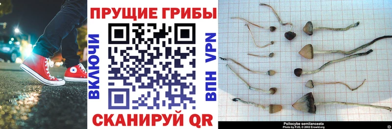 Псилоцибиновые грибы ЛСД  ОМГ ОМГ tor  Гаврилов-Ям 